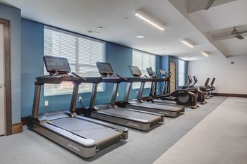 State-of-the-art fitness centers
